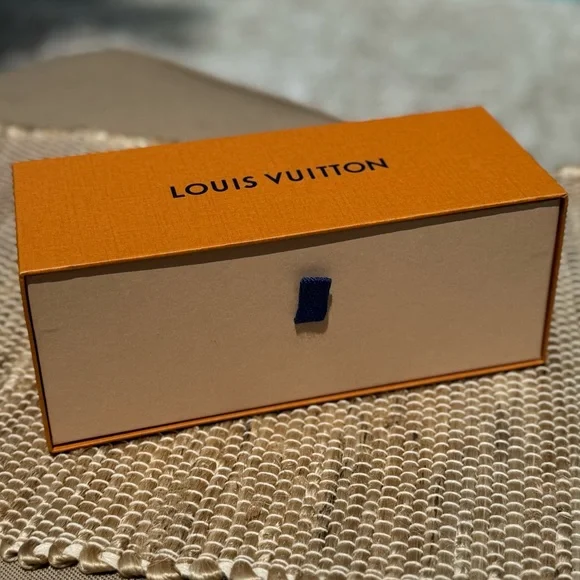 Louis Vuitton Storage Box Storage